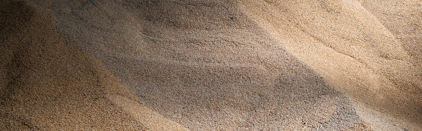 qualità e sostenibilità